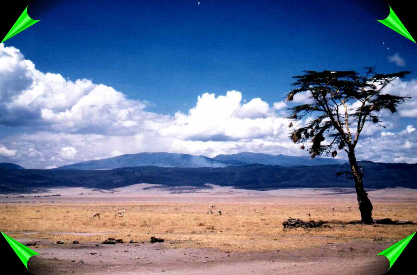 stretched land plains