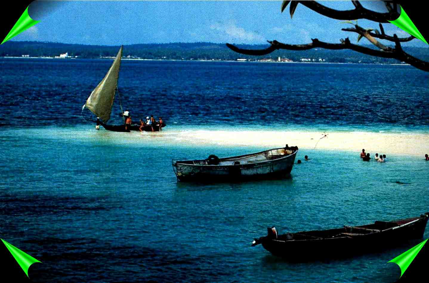 dhows docking at pemba ocean shores